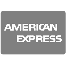 american express methods payment