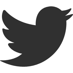 bird social social media tweet twitter