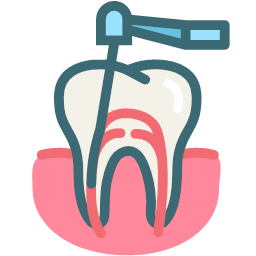 dental treatment dentist dentistry root canal teeth tooth