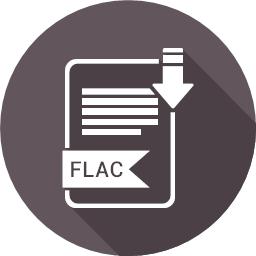 file file format flac
