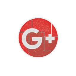 g googel googleplus network plus social