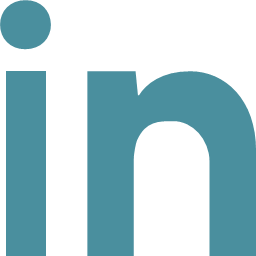 linkedin logo network social flat