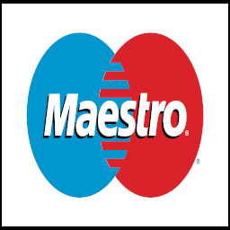 logo border maestro