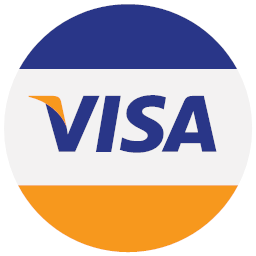 logo method payment visa