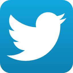 twitter bird button twitter button