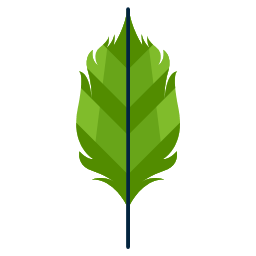 Leaf Shape One