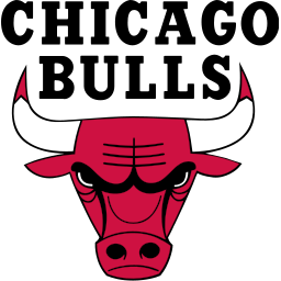 basketball chicago bulls