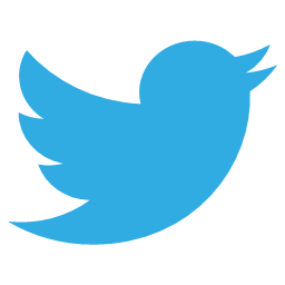 birdie network social socialnetwork squarico tweet twitter