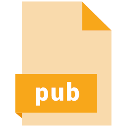 extension file format pub
