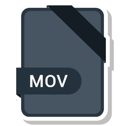 extension file mov