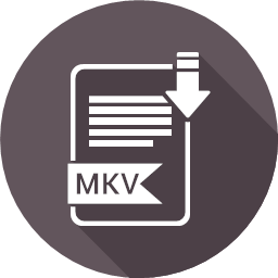 file file format mkv