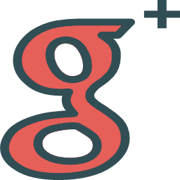 google logo network social colored icon