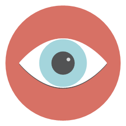 human eye search view