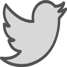 logo network social twiter filled