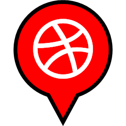logo pin