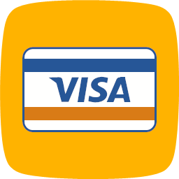 Method payment visa flat curve icon