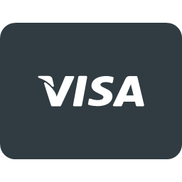 money online pay payments send visa
