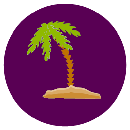 nature palm tree