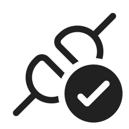 Plug connected checkmark regular icon