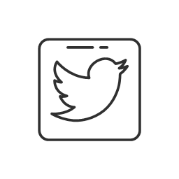 Social media twitter twitter button icon
